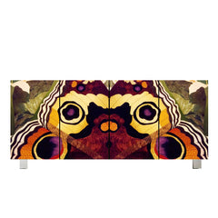 Butterfly Design Cabinet
