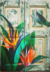 Bird of Paradise