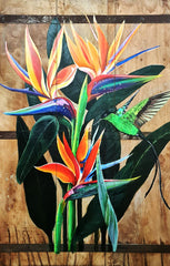 Bird of Paradise